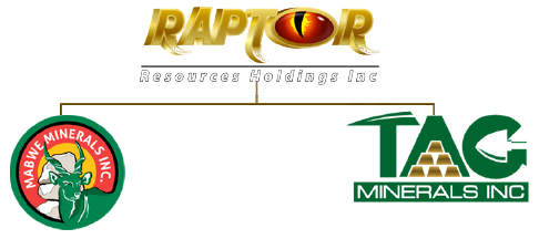 Raptor Resources finalises plans for Zim nickel mine