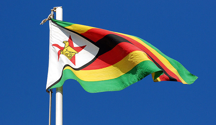 'Zimbabwe could default Treasury Bills payment'